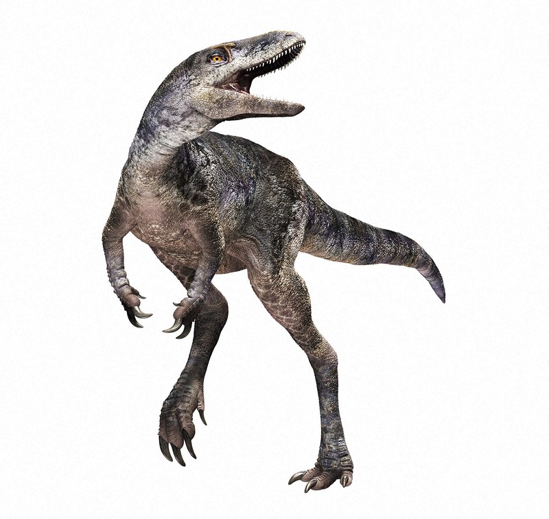 【肉食恐竜】ティラノサウルスの新種を発見　「進化の空白」穴埋めか